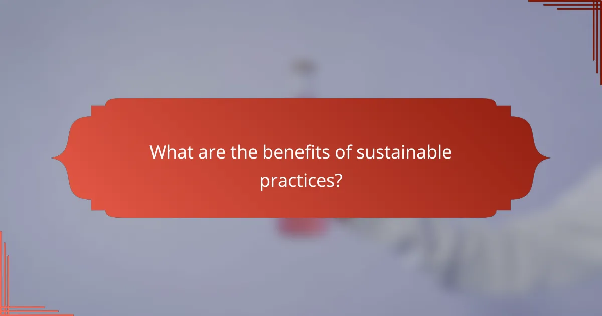 What are the benefits of sustainable practices?