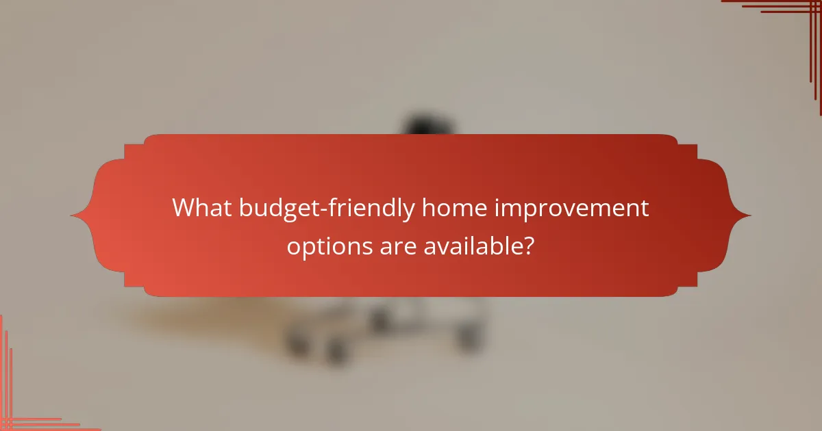 What budget-friendly home improvement options are available?